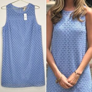 LOFT Blue Sleeveless Lace Dress